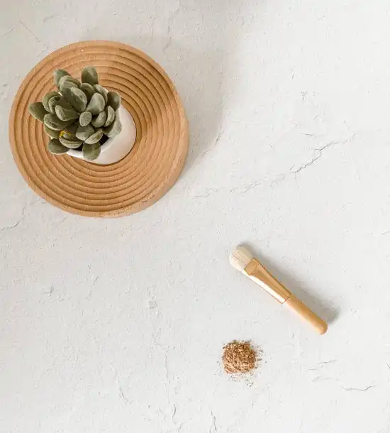 Face Mask Brush